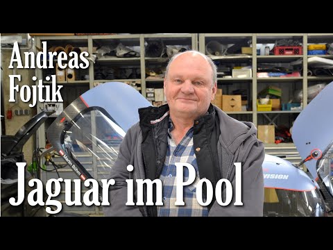 Nix gschenkt 27 - Andreas Fojtik: Jaguar im Pool