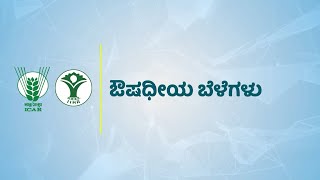 Medicinal Plants — ICAR-IIHR