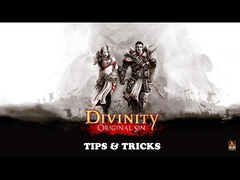 Divinity: Original Sin - Tips & Tricks Tutorial (Camera, UI, Difficulty, Rez Scrolls, Formations)