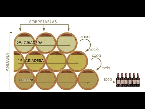 WSET Diploma D5 Fortified: Sherry. Raw Notes! Fall 2023