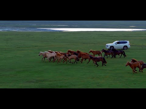 Land cruiser - TVC 02