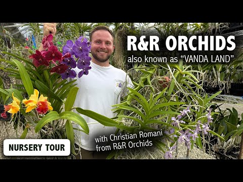 R & R Orchids Nursery Tour | 20,000+ Vanda & Cattleya Orchids including NEVER-BEFORE-SEEN Hybrids!