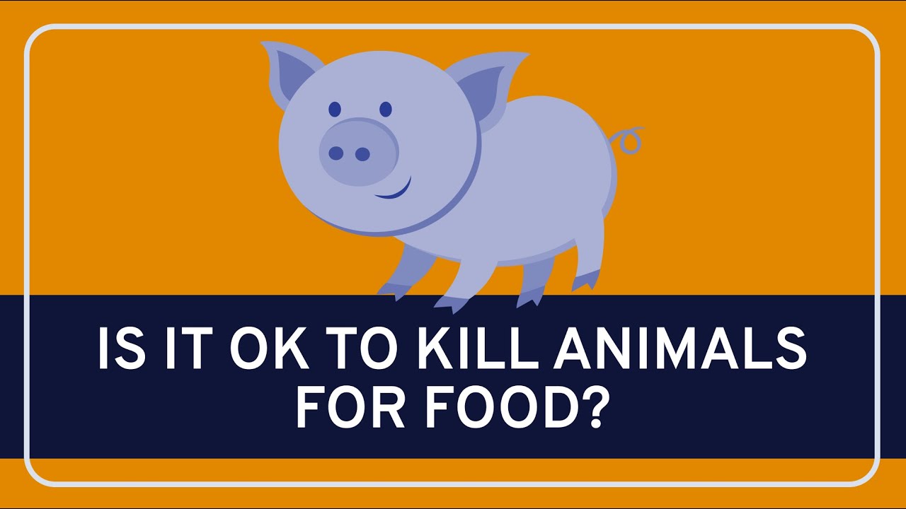PHILOSOPHY - Ethics: Killing Animals for Food [HD]