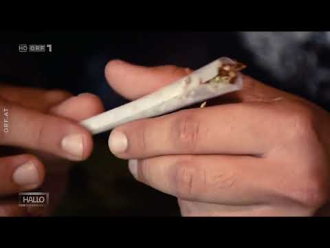 Hallo Österreich - Cannabis in Österreich | Folgen der Cannabis-Legalisierung
