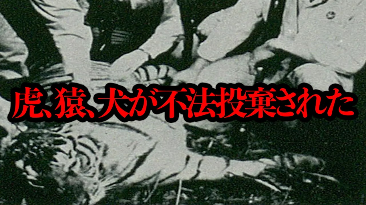 1998年、奈良県で「虎、猿、犬が不法投棄された」という事件が起きていたらしい...【謎事件】