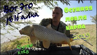 Супер рыбалка на сазана осенью
