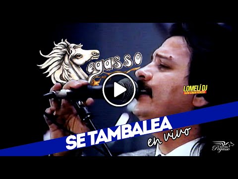 1992 - SE TAMBALEA - Emilio Reyna y su Pega Pega Pegasso - en vivo -