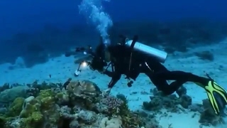 Zero Project   Silence  Underwater Mysteries