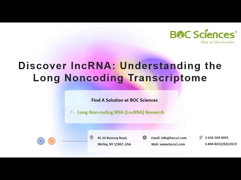Long Noncoding RNA (lncRNA) - Discover lncRNA - Visualize the Fascinating Roles of lncRNA