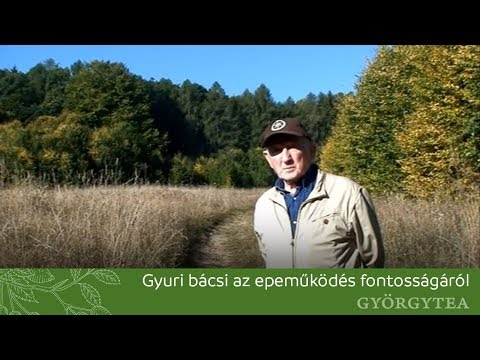 Kezelés népi gyógymódok a visszér ellen