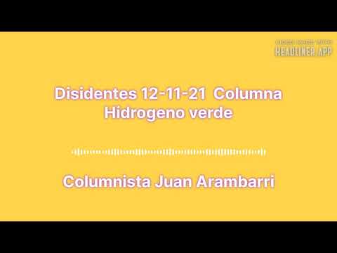 Disidentes 12-11 Columna Hidrogeno verde
