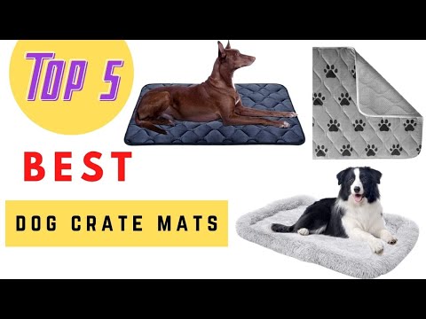 The Best Dog Crate Mats Review 2021