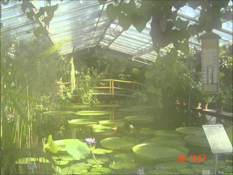 In my dreams sabrina.wmv