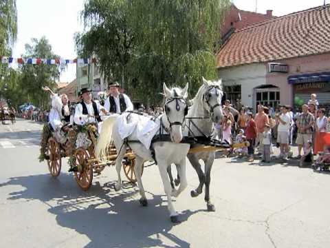 Dvanaesta je majka Slavonije - Josipa Lisac i Ladarice