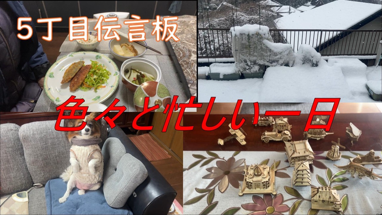 【高齢者の一日】あぁ～疲れた！朝からてんやわんや