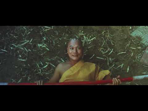 afbeelding Shaolin vs. Ninja