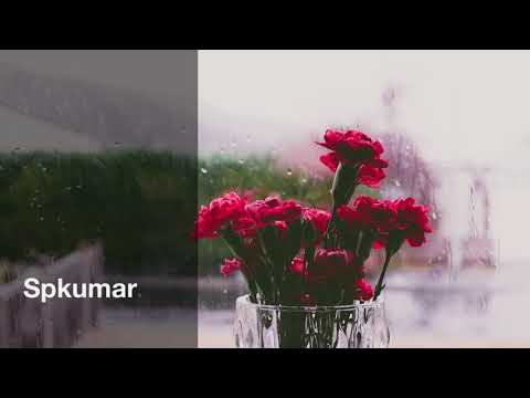 Lonely Rain Mashup (Monsoon Mashup) ||Orc Spkumar ||Bollywood Song HD