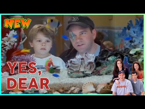 [New] Yes, Dear 2026 | Doctor, Doctor | Full Episodes Best American Sitcom Comedy