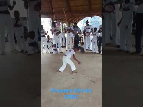 Pequeno Bamba - Grupo Senzala dos Reis Capoeira 2023