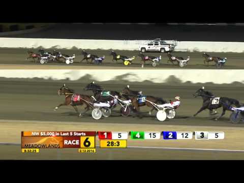 Meadowlands February 12, 2016 - Race 6 - Bell A Chick