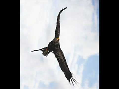 Nordwind (Schau nach vorne) unplugged