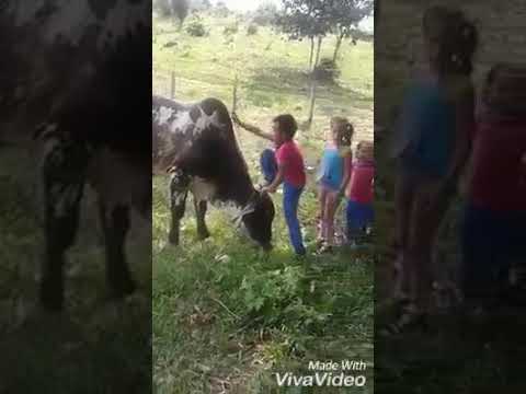 Um dia desses ainda vou voltar pro meu sertão.