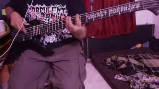 Cold Hate,Warm Blood - Cryptopsy (Bass Cover)