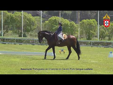 220430 Sub16 Prova de Ensino III Jornada CNET