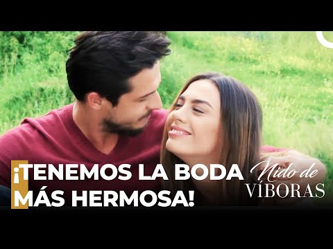 ¡La Decisión De Boda De Ejder Y Nagme!  - Nido De Víboras