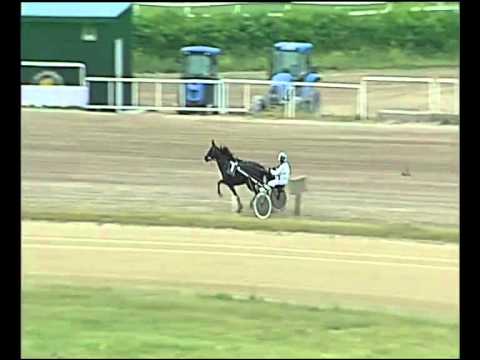 trotto 28/05/2015 -  prova di riqualifica