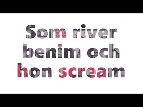 Ant Wan - Boo [Unofficial Lyric Video] (Wow Album)