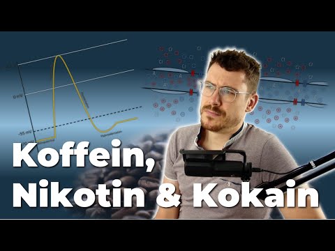 Wie KOFFEIN deinen SCHLAF verhindert | 👨‍🏫  Warum wir schlafen | Teil 3