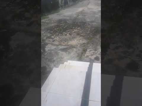 4,851sqm Commercial Land with Massive Warehouse & Hall For Sale/Lease in Ago Okota 📍