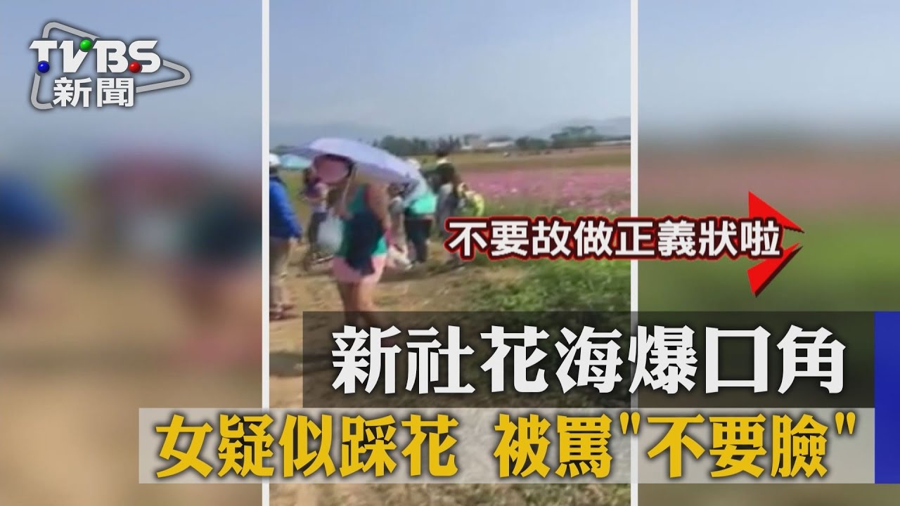 女疑似踩花被罵不要臉 新社花海爆口角