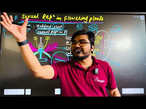 12th CH1 SEXUAL REPRODUCTION IN FLOWERING PLANTS - BASIC L1