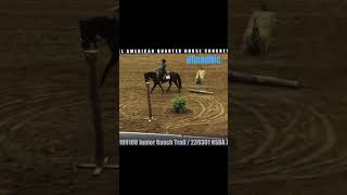 Good Nic 2020 Stallion Jr Ranch Trail Class @ The All American Quarter Horse Congress 2025 #aqha