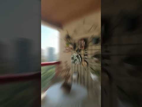 Vila Suzana / São Paulo