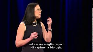 Autismo - Cosa sappiamo (e cosa ancora non sappiamo) di Wendy Chung