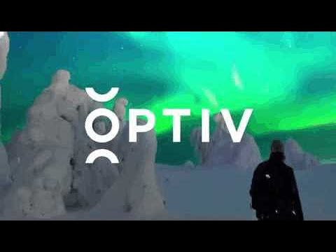 Optiv - Security in Perspective