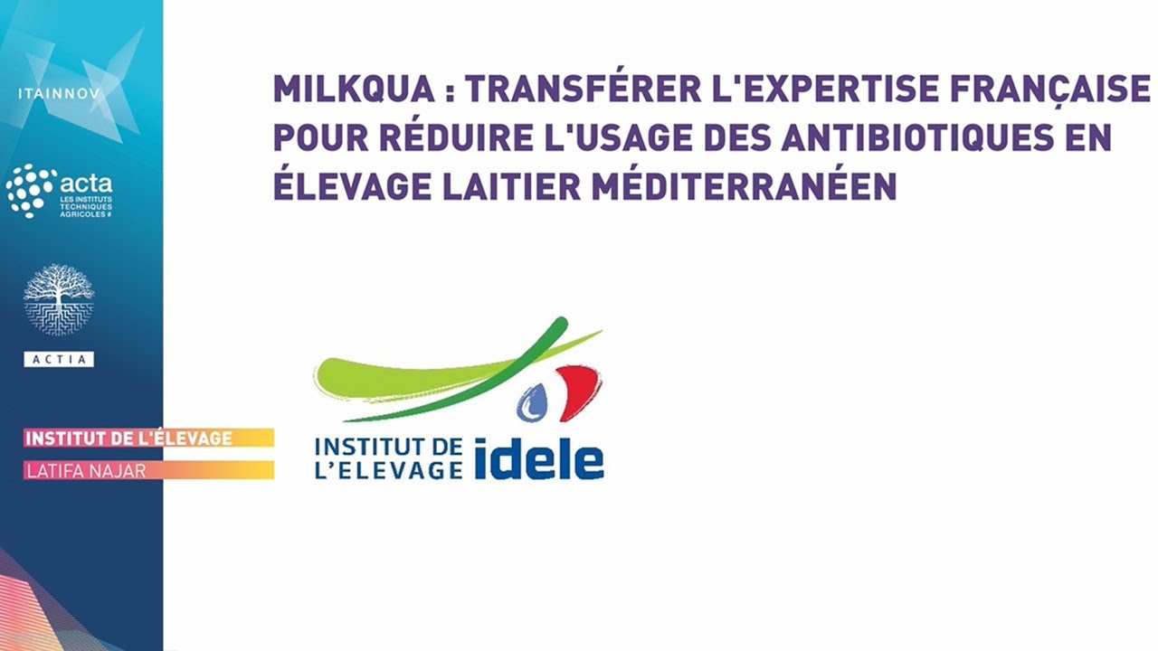 [ITAINNOV 2022] Milkqua aide à réduire l’usage des antibiotiques en élevage laitier méditerranéen