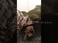 Os Mod Te Chad Gayi Whatsapp Status Status GeetMP3