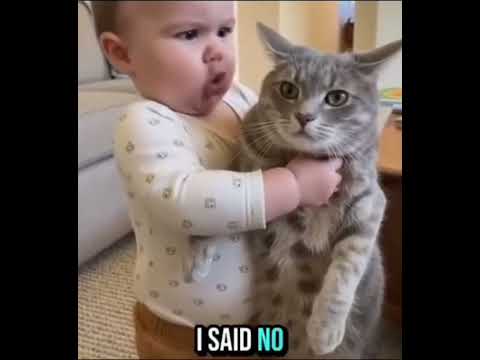 😁 #cat #funny #cutebaby #viral  