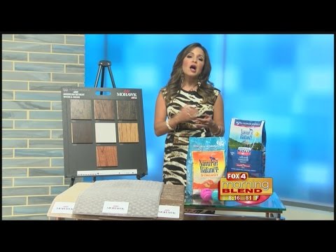 Caring for pets and your home with Michelle Yarn