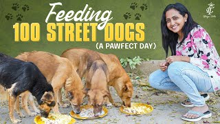 Lasya Talks || Feeding 100 street dogs || A Paw ? fect Day || Pet lovers || Lasya’s Latest video
