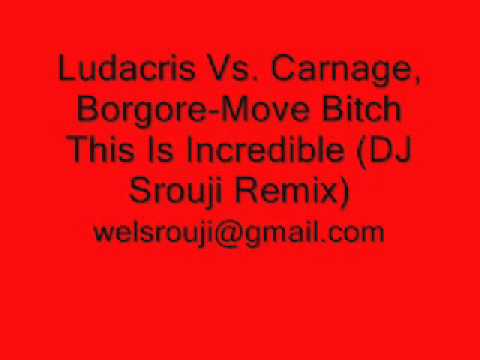 Ludacris Vs. Carnage, Borgore-Move Bitch This Is Incredible (DJ Srouji Remix)
