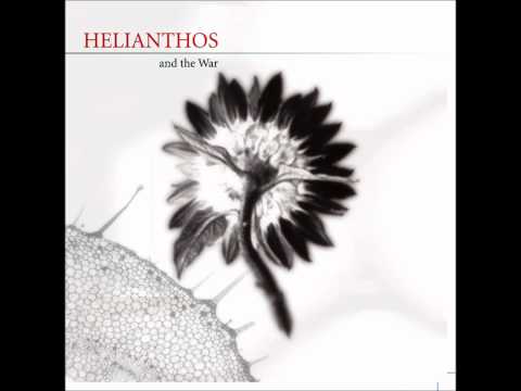 Golden Apes - The colour I've missed