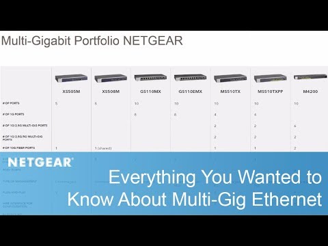 Everything You Wanted to Know About Multi-Gig Ethernet | NETGEAR Business