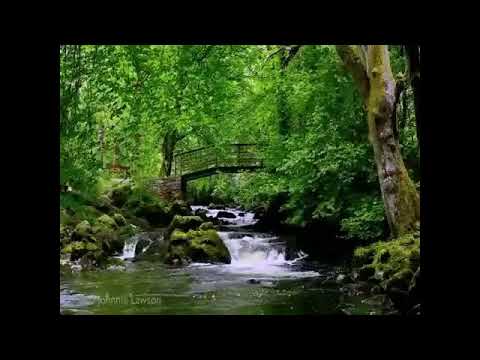 Manjusha Gore Live Stream