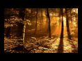 Gregorian Chants - Amazing Grace (**Beautiful ...