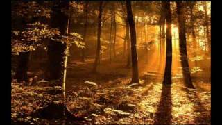 Gregorian Chants - Amazing Grace (**Beautiful Christian song & music**)